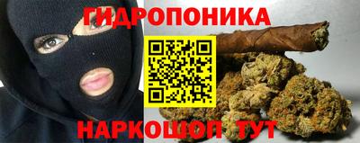 PSILOCYBIN Кунгур