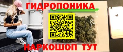 PSILOCYBIN Кунгур