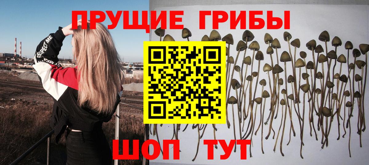 Псилоцибиновые грибы мухоморы  Вход с VPN  Кировск  дарнет шоп  Галлюциногенные грибы ЛСД 